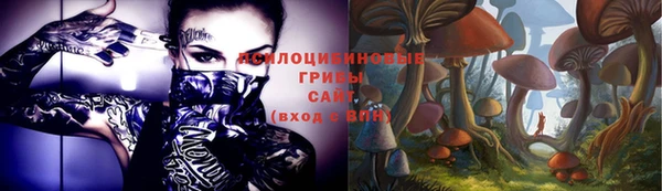 крисы Баксан