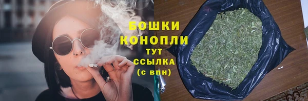 крисы Баксан