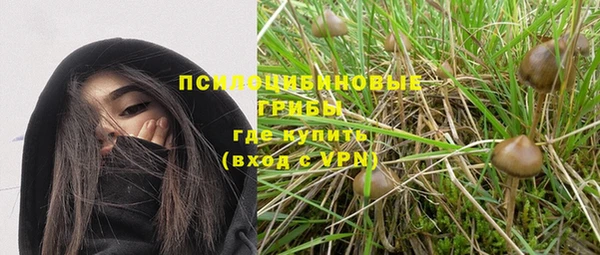 крисы Баксан