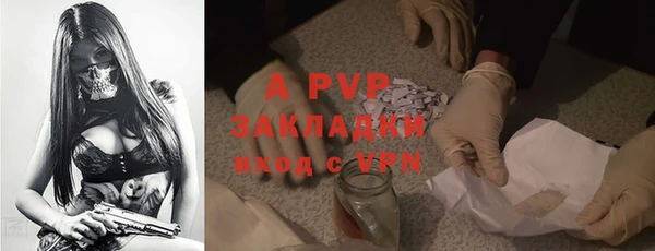 крисы Баксан