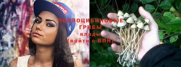 эйфоретик Балахна