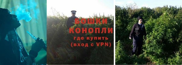 крисы Баксан